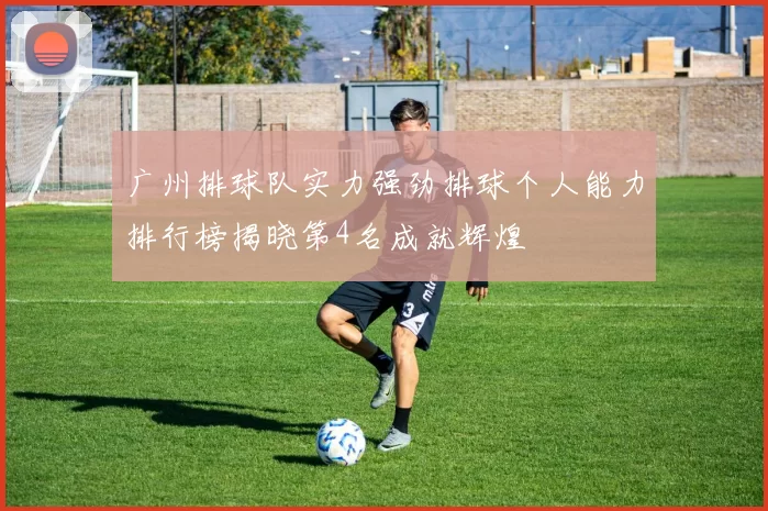 广州排球队实力强劲排球个人能力排行榜揭晓第4名成就辉煌