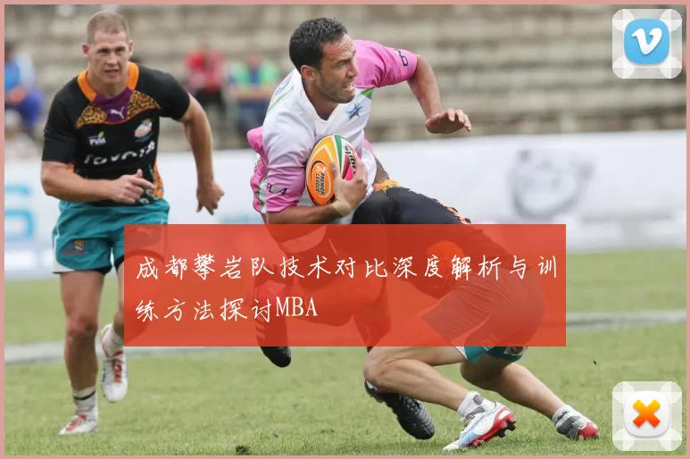 成都攀岩队技术对比深度解析与训练方法探讨MBA