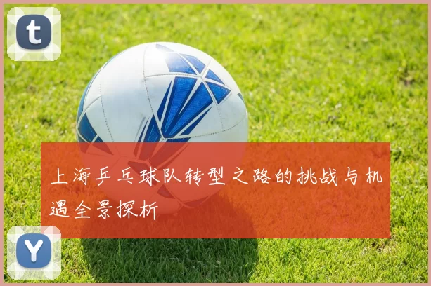 上海乒乓球队转型之路的挑战与机遇全景探析
