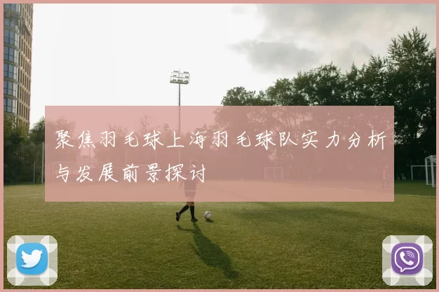 聚焦羽毛球上海羽毛球队实力分析与发展前景探讨