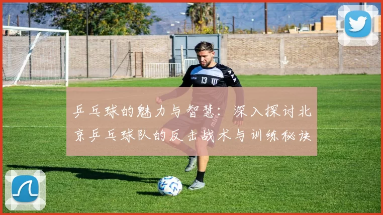 乒乓球的魅力与智慧：深入探讨北京乒乓球队的反击战术与训练秘诀