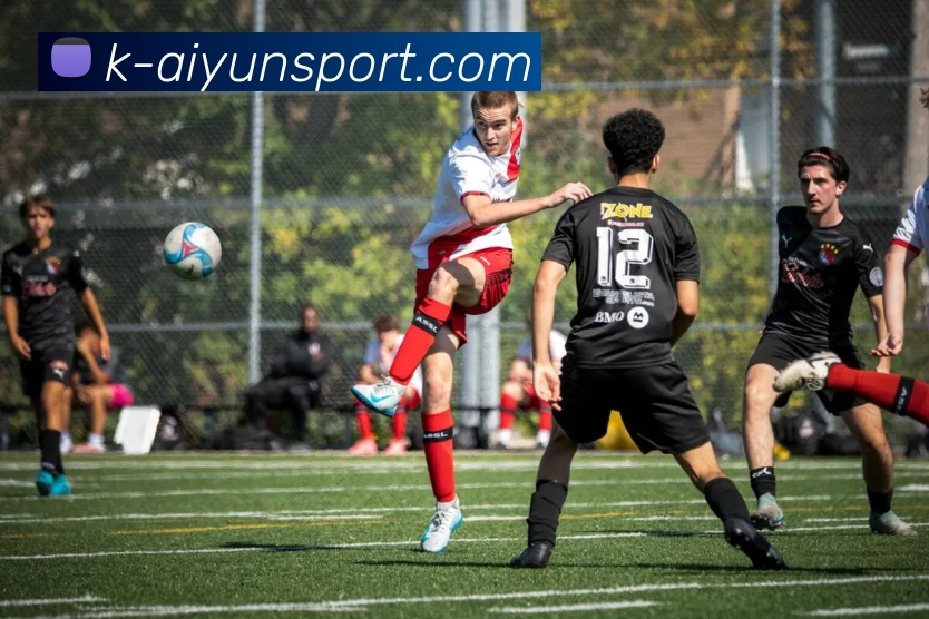 开云官网APP 高清赛事图